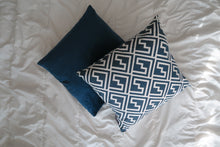 Load image into Gallery viewer, EULA, 20x20&#39;&#39; - Pillow Cover -