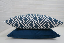 Load image into Gallery viewer, EULA, 20x20&#39;&#39; - Pillow Cover -